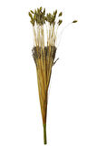 Grass 75 cm Yeşil