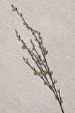 Yeşil Grass 92 cm