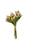 Lale Demeti 25 cm Mor