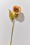 Ayçiçeği 75 cm Sarı