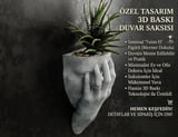 ACHILLES Skulent Saksısı