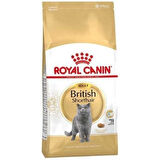 Royal Canin British Shorthair Yetişkin Kedi Maması 2 kg X 2 Adet