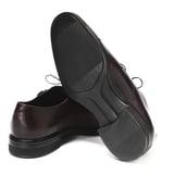 Erkek Oxford ( Klasik) 0990004.36200404 Franceschetti CORTINA Oxblood