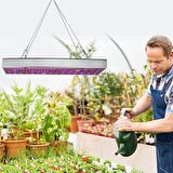 Juhefa Full Spektrum Uv Ir Bitki Yetiştirme Lambası