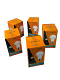 TAŞKIN 9W Led Ampul 5 Li Set Beyaz Ampul Tavan Ampul