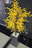 Sarı Sakura Çiçekli Dekoratif Saksı, 140cm