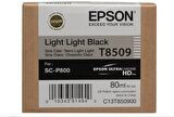 Epson T8509 C13T850900 Açık Açık Siyah Kartuş