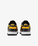 NİKE DUNK LOW-FZ4618-001