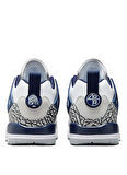 FQ3950-140-JORDAN SPIZIKE LOW 