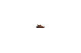 Roy Jones Barcelona Urban Sandals Rahat Yumuşak Tabanlı Erkek Sandalet