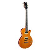 Dmx Guitars DALP100 A Slash AFD Les Paul Elektro Gitar (Taşıma Çantası Hediyeli)