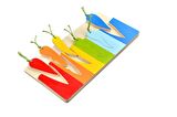 Kayasan Kids Montessori Renkli Bul-Tak Havuç