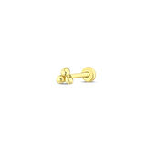 Altın Tragus Piercing