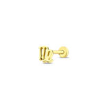 Altın Tragus Piercing