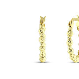 Dorika Toplu Altın Halka Küpe - 14K - 2.93gr