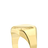 Altın Erkek Yüzük - 14K