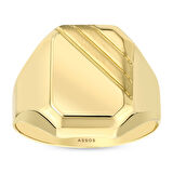 Altın Erkek Yüzük - 14K