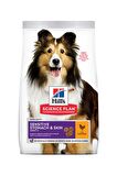 Hill’s Tavuklu Küçük Irk Yetişkin Kuru Köpek Maması 14 kg
