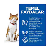 Hill's Scıence Plan Somonlu Kısırlaştırılmış Yetişkin Kedi Maması 8+2 kg