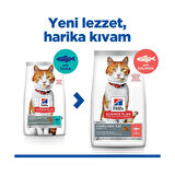 Hill's Scıence Plan Somonlu Kısırlaştırılmış Yetişkin Kedi Maması 8+2 kg