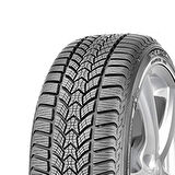 225/55 R16 95H FP Frigo HP 2 Oto Kış Lastiği (Üretim Yılı: 2023)
