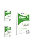 Wellcare Vitamin B12 1000 Mcg Sprey 5 Ml 3 Kutu