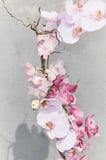 ZARA ORCHID BLOOM | EAU DE PARFUM 50 ML 