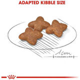 Mini Adult Küçük Irk Yetişkin Köpek Maması 4 Kg