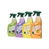 Eyüp Sabri Tuncer Quick Clean Yüzey Temizleyici 1 lt x 4