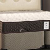 Pinotte Forli Yarı Ortopedik Tek Kişilik Yaylı Yatak 120 x 190 cm