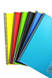 Mynote Flex A4 100 Yaprak Çizgili Spiralli Plastik Neon Kapak Defter