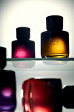 VIBRANT CARAMEL EDP 90ML (3.04 FL. OZ).
