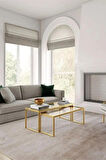 Modern Gold Renk 2’li Metal İskeletli Temper Camlı Zigon Orta Sehpa