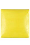 Duncan SN378 Neon Chartreuse 118 ml (Yarı Mat)
