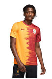 Nike Galatasaray 2020/2021 Parçalı İç Saha Forma