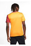Nike Galatasaray 2020/2021 Parçalı İç Saha Forma
