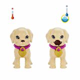 Barbie ve Köpekçikleri Oyun Seti HKD86