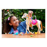 Barbie ve Dansçı Atı HXJ42