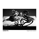 Ilford FP4 Plus 125 Negatif Film Siyah Beyaz 36 Poz