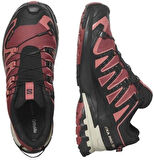 SALOMON XA PRO 3D V9  GTX KADIN OUTDOOR AYAKKABI