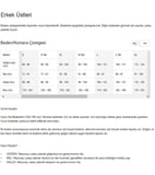 Nike Sportwear Men's Fleece Pullover Hoodie Grey Erkek Şardonlu Kapüşonlu Sweatshirt Gri