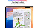 APPLE MW1K3TU/A/MacBook Air/Apple M4 İşlemci(10 Çekirdek CPU-10 Çekirdek GPU)/16GB RAM/512GB SSD/15.3"/Starlight
