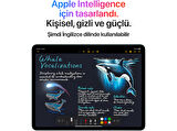 APPLE 11inç iPad Air M3 Wi-Fi 128 GB Tablet Uzay Grisi (MC9W4TU/A)