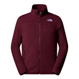 100 Glacier Erkek Kırmızı Outdoor Polar NF0A855X1OO1