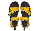 Timberland Garrison Trail Backstrap Erkek Günlük Ayakkabı TB0A6DXTETU1 Renkli