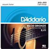 DADDARIO EJ11