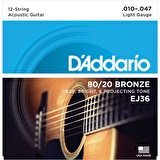 DADDARIO EJ36