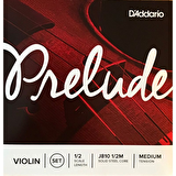 DADDARIO J81012