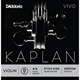 DADDARIO KV313