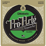 DADDARIO EJ25C